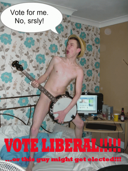 banjo vote.gif