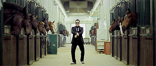 Gangnam-Style-horse.gif