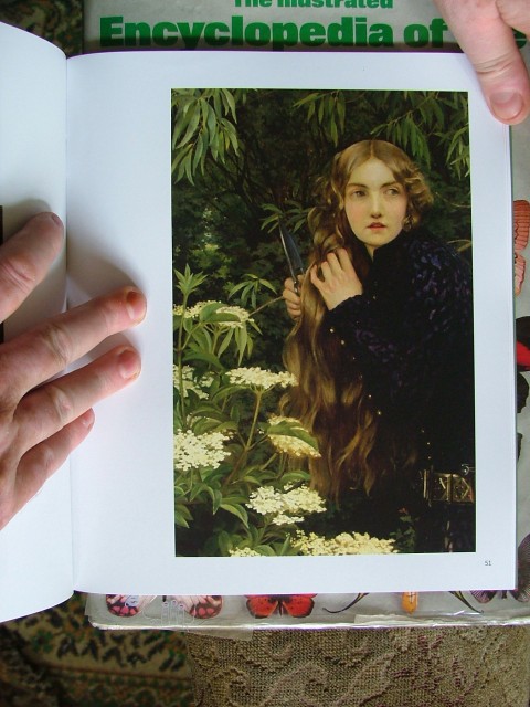 The Little Foot Page 1905 Detail Shot Resampled.jpg