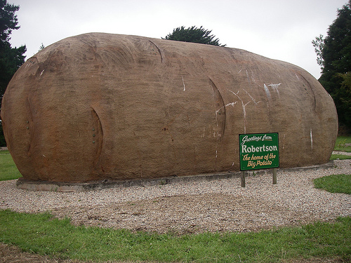 Big Potato.jpg
