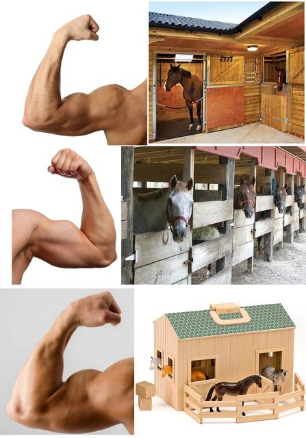 Strong and Stable.jpg