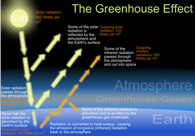 The_green_house_effect.svg.png