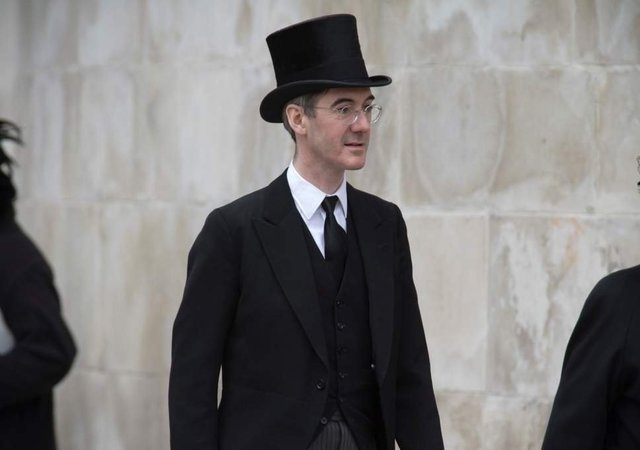 mogg.jpg