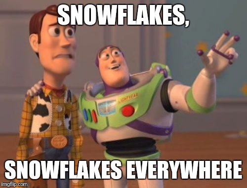 snowflakes everywhere.jpg