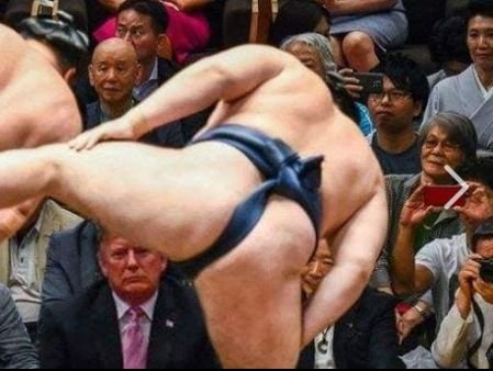 trump sumo.jpg