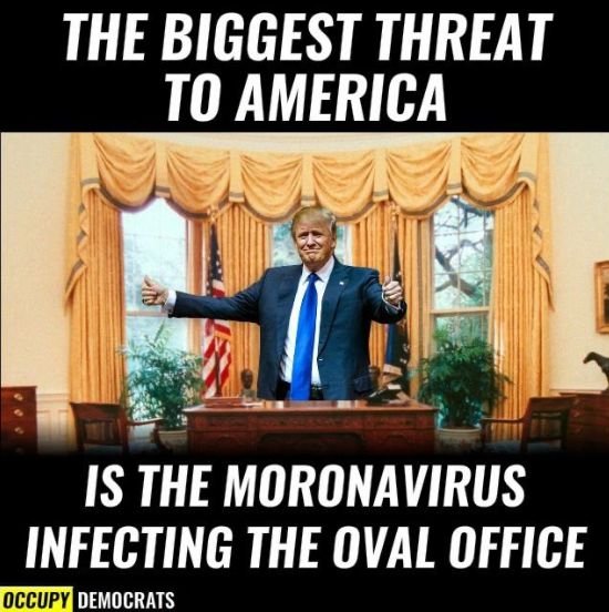 trump moronavirus.jpg