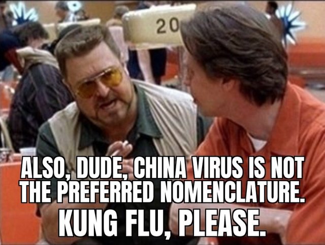 Corona Kung Flu.jpg