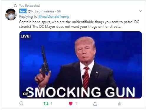 captain bonespurs.jpg