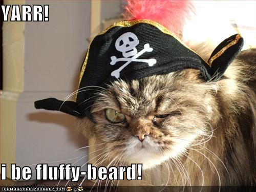 funny-pictures-pirate-cat.jpg