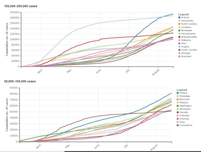 pandemic 2020 aug.jpg
