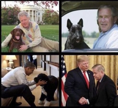 trump's dog.jpg