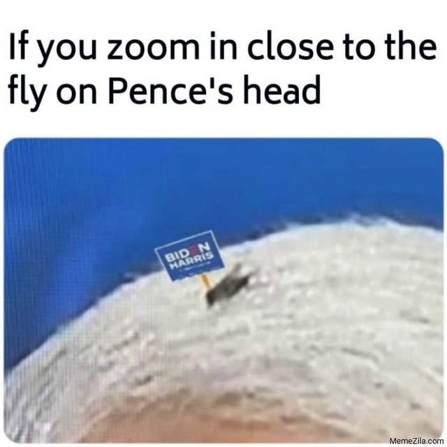 pence fly 2.jpg