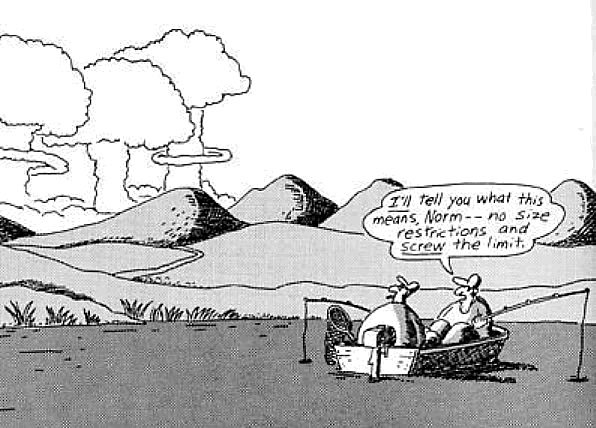Far Side No Limits.jpg
