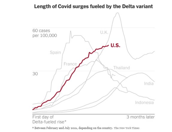 delta variant.jpg
