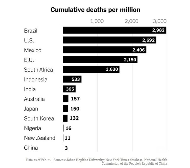 covid deaths world.jpg