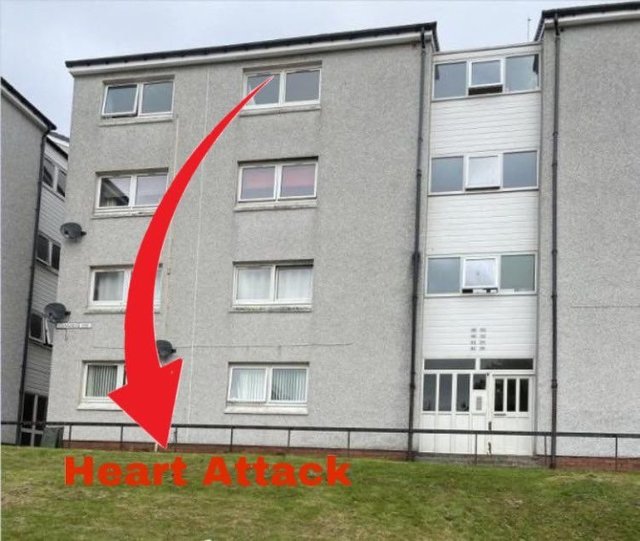 putin heart attack.jpg