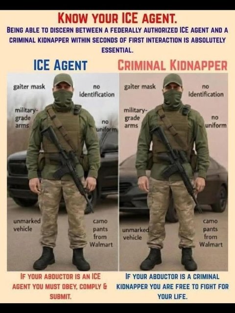 ice agent.jpg