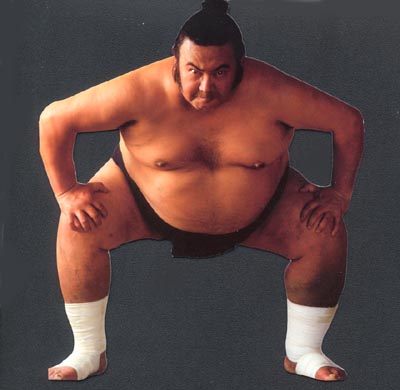 sumo.jpg
