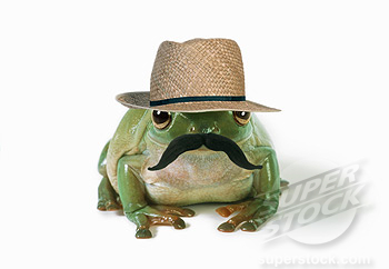 moustacheonfrog.jpg