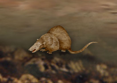 firstmammals.jpg