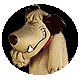 Mutley :mutley: